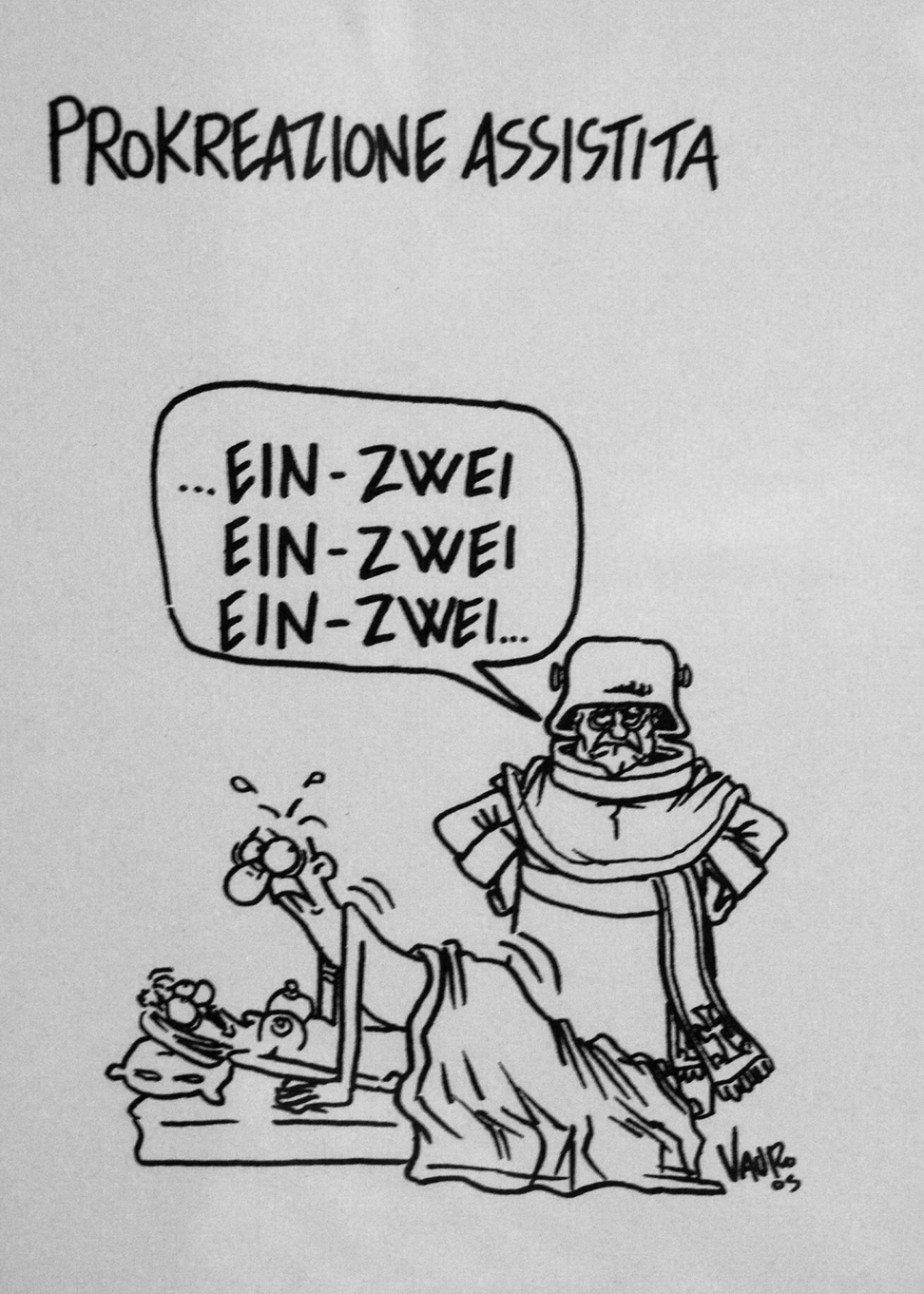 Asini, Muli, Corvi, Maiali_066.jpg
